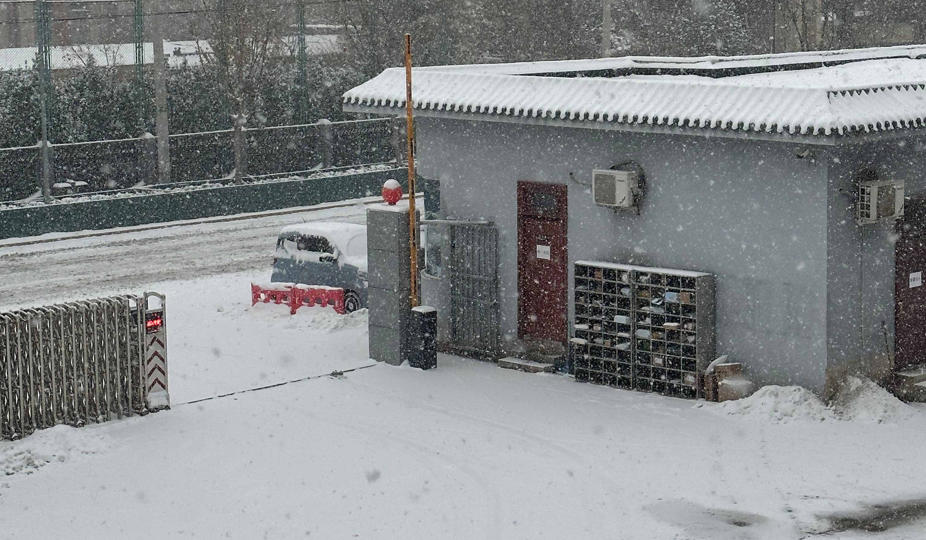 1719191560140400.jpg 1.jpg